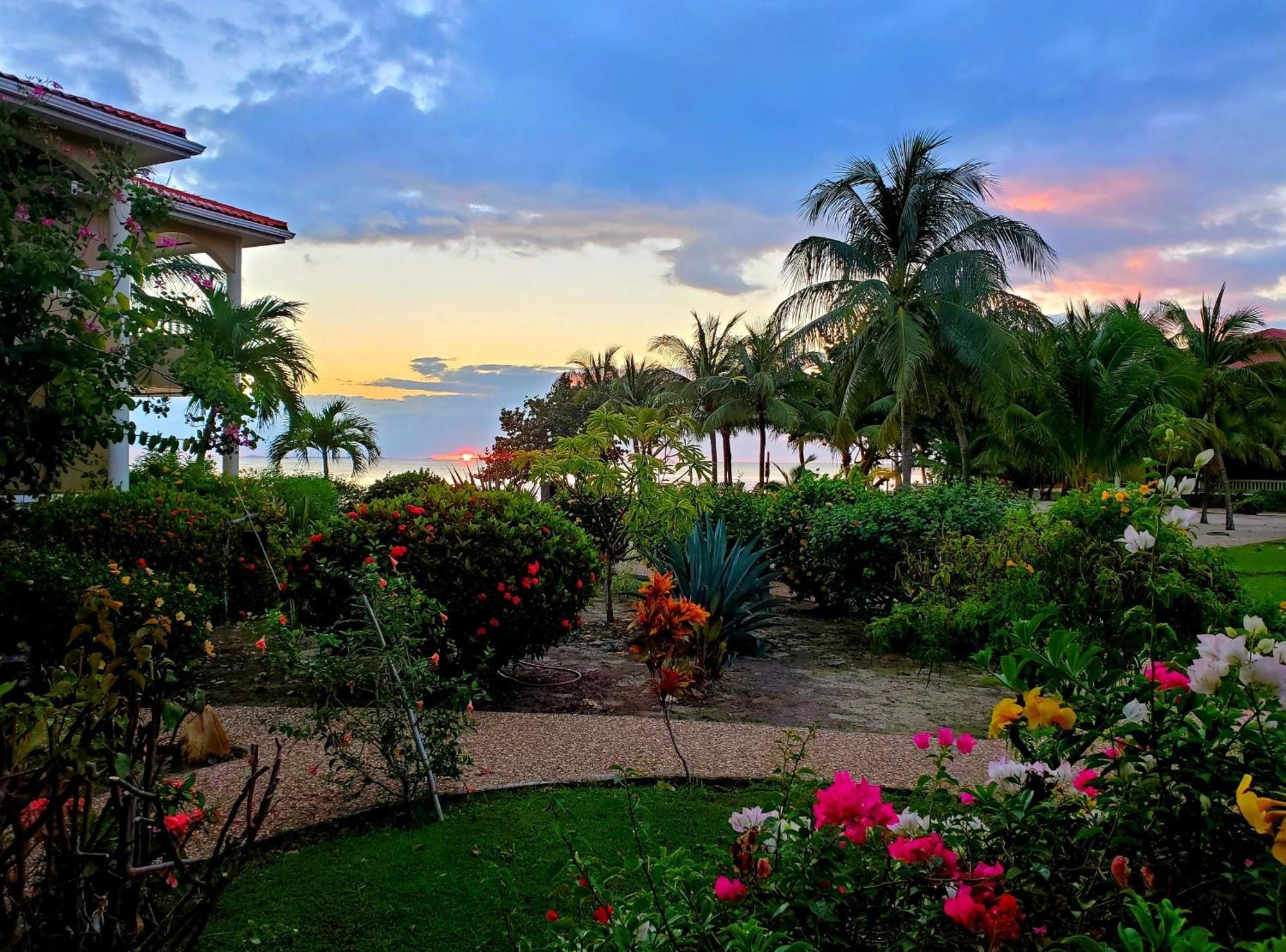 Los Porticos Placencia Rom bilde